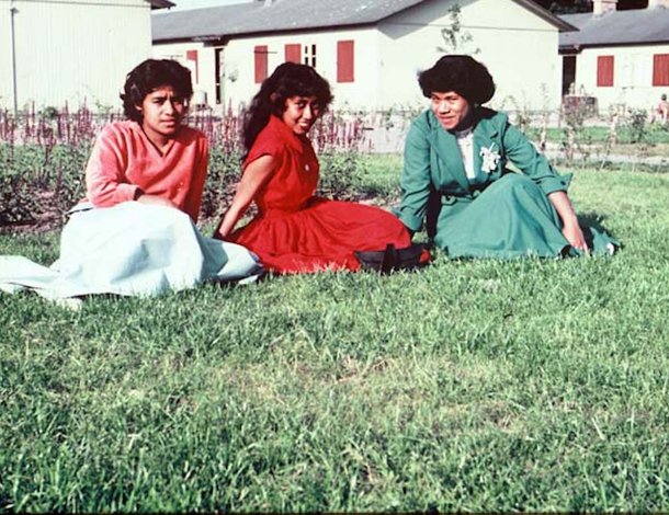 Jonge gastcuratoren maken expo 'Van Daar'