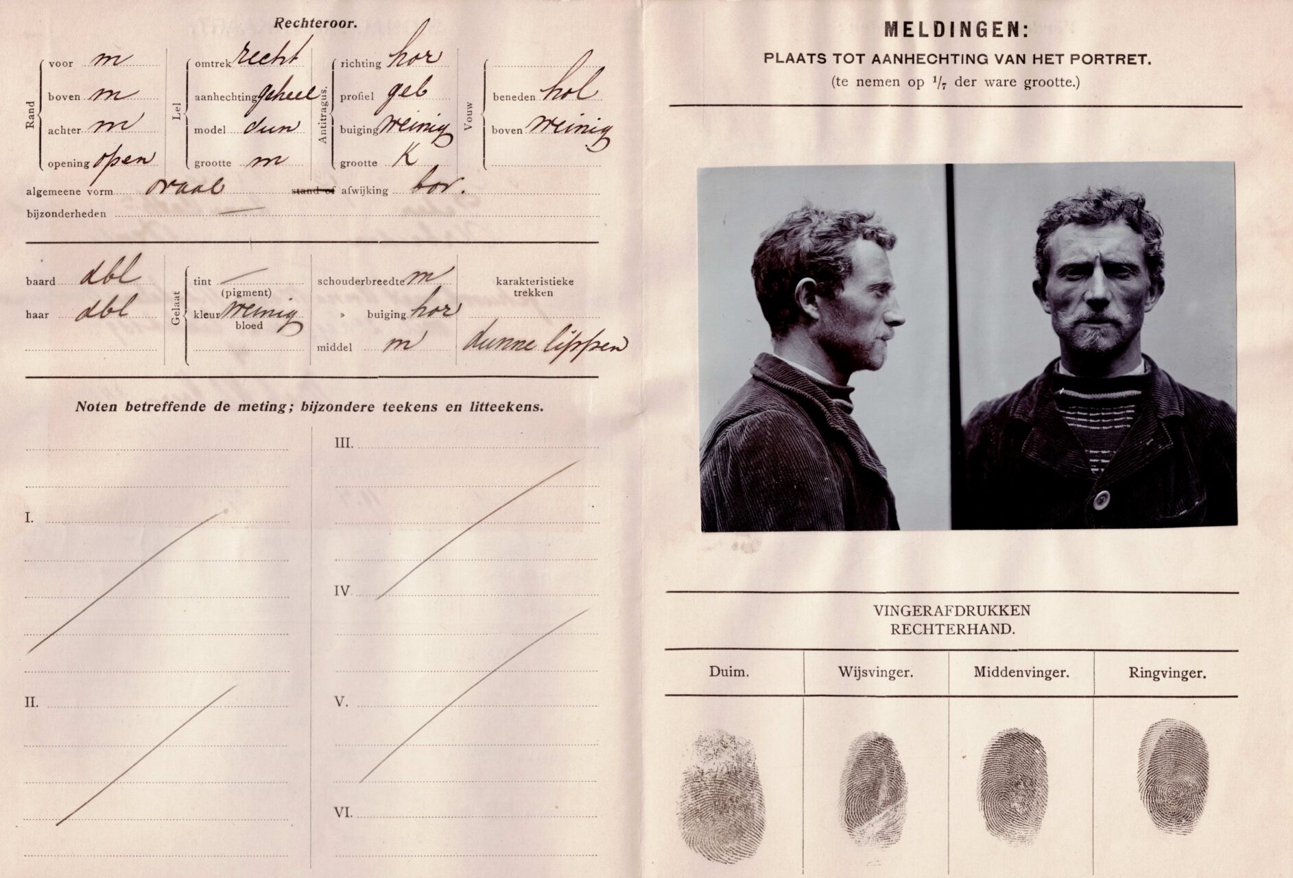 Limburgs Museum zoekt grens op in nieuwe tentoonstelling